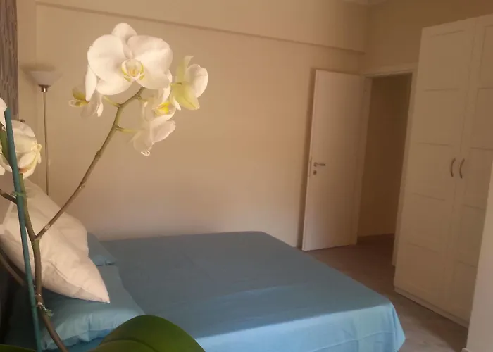 Panzió Domus Pio Xi° 2*